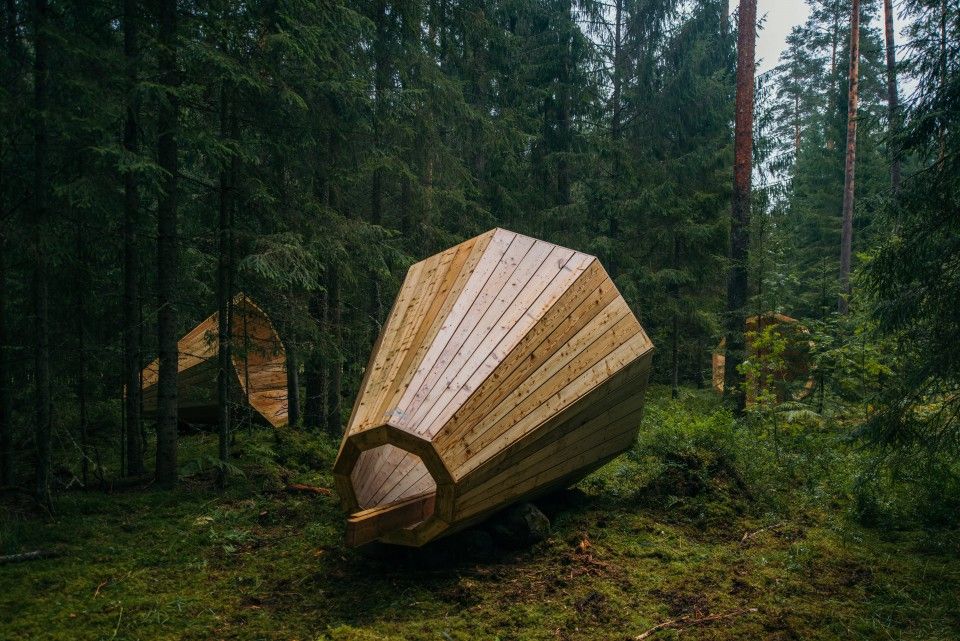 Design Studio: Forest Library